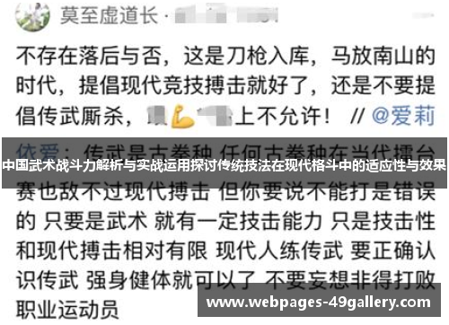 中国武术战斗力解析与实战运用探讨传统技法在现代格斗中的适应性与效果